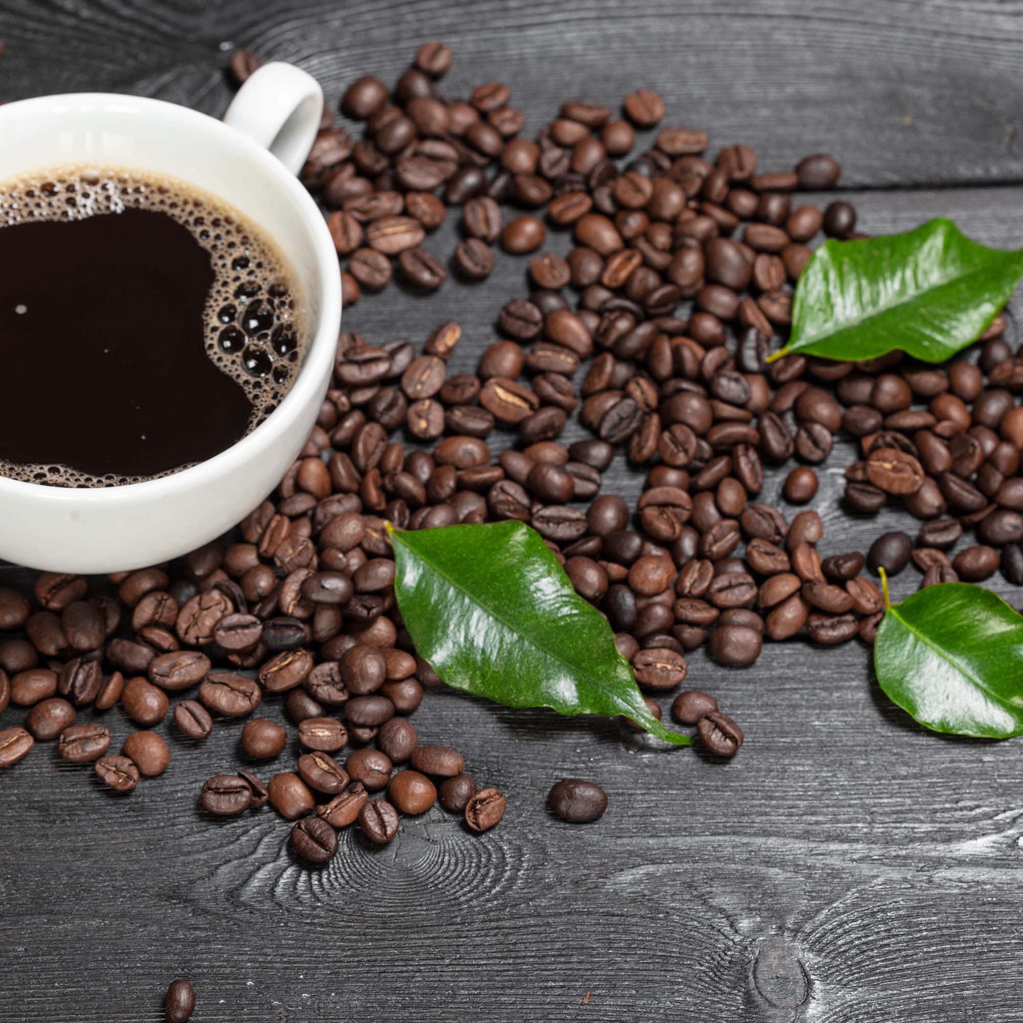 Espresso International