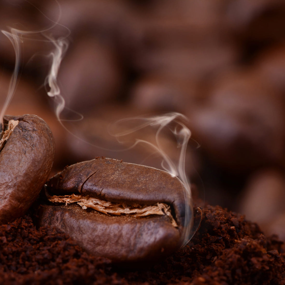 Espresso International